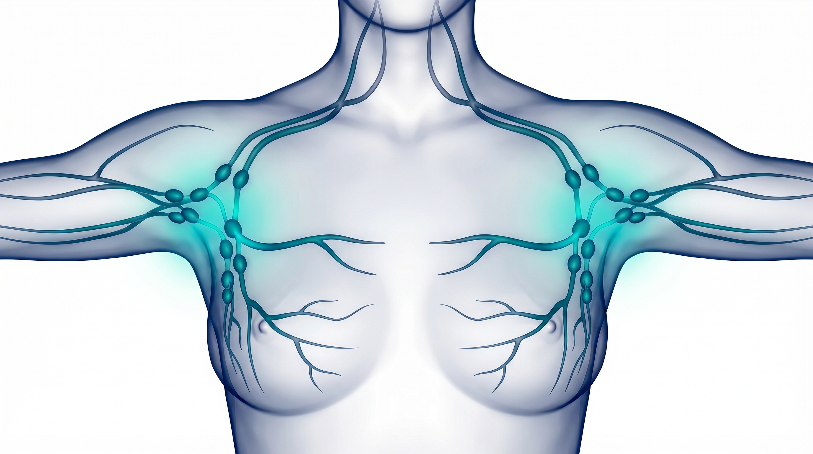 Axillary Gateway Convergence Zone